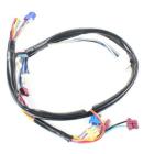 Whirlpool Part# W11174382 Wire Harness (OEM)
