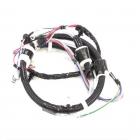 Whirlpool Part# W11409746 Lower Wire Harness - Genuine OEM