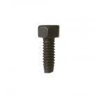 GE Part# WZ5X222 Screw (OEM)