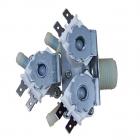 Samsung WF45H6100AP/A2 Water Valve - Genuine OEM