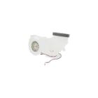 Bosch B11CB50SSS/10 Fan - Genuine OEM