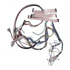 Electrolux E36EC70FSS1 Main Cook Top Wiring Harness - Genuine OEM