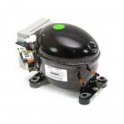 Electrolux EW28BS85KS3 Compressor Kit