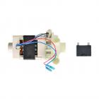Frigidaire FDB2410HIC3B Pump and Motor Assembly - Genuine OEM