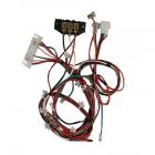 Frigidaire FEX831CS0 Main LCD Wiring Harness - Genuine OEM