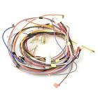 Frigidaire FGEF3035RWC Main Wiring Harness - Genuine OEM