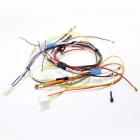 Frigidaire FGGF304DLF2 Main Oven Wiring Harness