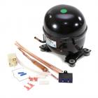 Frigidaire FGUI2149LP1 Compressor Kit w/ Electrical Genuine OEM