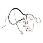 CDBEH950SW1A Main Wire Harness - Genuine OEM