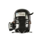CF135 Compressor (w/o Electricals) - Genuine OEM