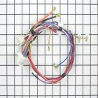 CLCE900FW0 Wiring Harness - Genuine OEM