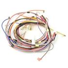 CRE3875SSA Main Wiring Harness - Genuine OEM