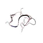 Crosley CDBEH960TS0A Main Wire Harness - Genuine OEM
