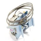 F22CW13 Temperature Control Thermostat - Genuine OEM