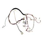 Frigidaire FFID2426TS3A Main Wire Harness - Genuine OEM