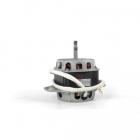 Frigidaire FFTW4120SW0 Drive Motor - Genuine OEM