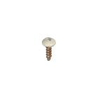 Frigidaire FGBD2434PW3A Screw - Genuine OEM