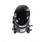 Kenmore 253.17822710 Compressor Assembly - Genuine OEM
