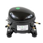 Kenmore 253.60502617 Compressor - Genuine OEM