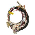 Kenmore 587.16189402 Main Wire Harness - Genuine OEM