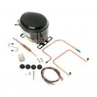 Hotpoint CTH18ERERWH Compressor Kit (R-12) - Genuine OEM