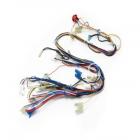 GE JVM2070SH02 Microwave Wire Harness - Genuine OEM