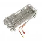 GE PSHS6YGXBDSS Evaporator Assembly - Genuine OEM
