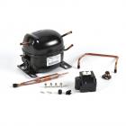 GE ZDI15CBBM Compressor Kit - Genuine OEM