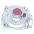 GE ZGU384LSM2SS Pressure Regulator (converted) - Genuine OEM