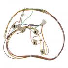 GE ZGU385NSM2SS Ignition Spark Switch and Harness - Genuine OEM