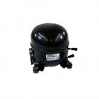 GE ZIPS360NHCSS Compressor Kit (CU1) - Genuine OEM