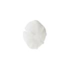 GE CDT855M5N0S5 Impeller - Genuine OEM