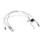 GE CFE28UP3MBD1 Heater Harness & Defrost Thermostat - Genuine OEM