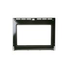GE CT9800SJ2SS Door Liner - Genuine OEM