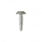 GE CWE23SSHCSS Torx Screw (1/4-20) - Genuine OEM