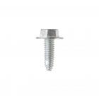 GE CWE23SSHLSS External Hex Screw (1/4-20) - Genuine OEM