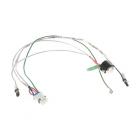 GE DFE29JGDCBB Heater Harness & Defrost Thermostat - Genuine OEM