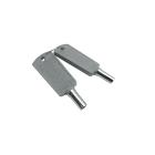 GE FUF17DLRDWW Door Key (2-Pack) - Genuine OEM