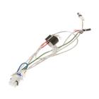 GE GDP665SYN4FS Wire Harness Assembly - Genuine OEM