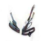 GE GDT550HGD2WW Door Harness Assembly - Genuine OEM