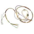 GE GTD72EBSN0WS Dryer Main Wire Harness - Genuine OEM