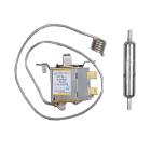GE GTL21KCXABS Thermostat Assembly - Genuine OEM
