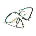 GE GTW335ASN2WW Main Harness (Green) - Genuine OEM