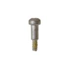 GE GTW680BSJ4WS Lid Hinge Screw - Genuine OEM