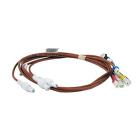 GE JGB700EEJ1ES Electrode and Harness - Genuine OEM