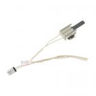 GE JGB860FEJ2DS Glowbar Igniter - Genuine OEM