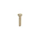 GE JGBP79AEB1AA Torx Mounting Screw - Genuine OEM