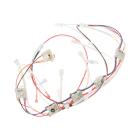 GE PGP959SET2SS Switch Harness Assembly - Genuine OEM