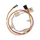 GE ZDP366NP5SS Burner Box Harness - Genuine OEM