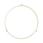 GE ZEB1227SL3SS Glass Tray Turntable Support Ring - Genuine OEM